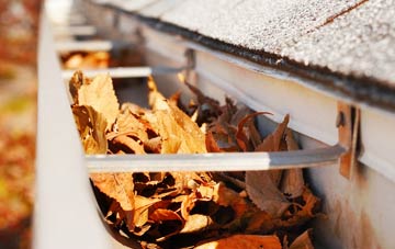 Hedging gutter cleaning companies