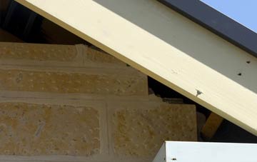soffit repair Hedging